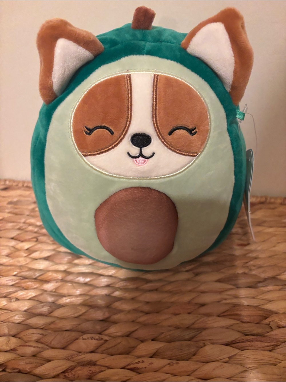 Squishmallows “Regina”  tan & Light Green Plush Regina Plush Toy NWT
